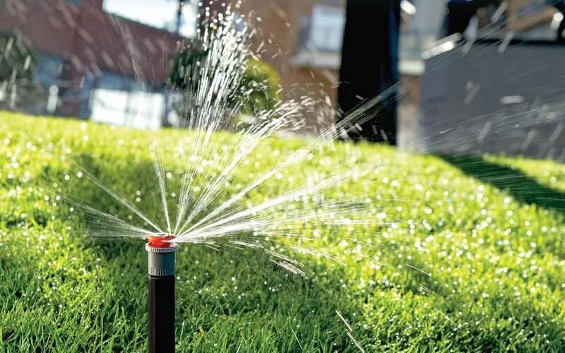 Professional Landscape Maintenance Company in the Chicagoland Area