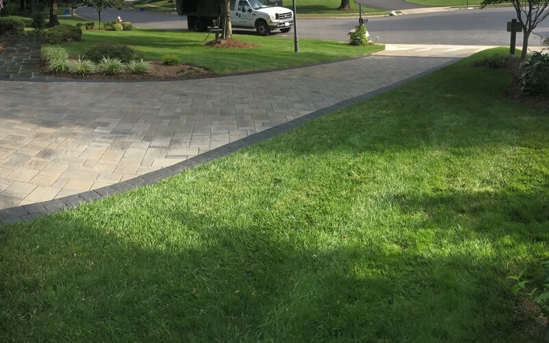 Professional Organic Lawn Care Company in the Chicagoland IL Area