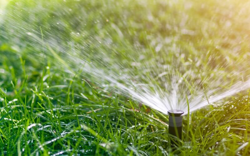 Lawn Maintenance in Chicagoland