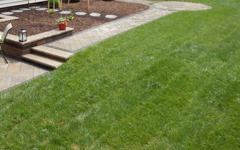 Organic Safe Lawn Fertilization in Evanston, IL