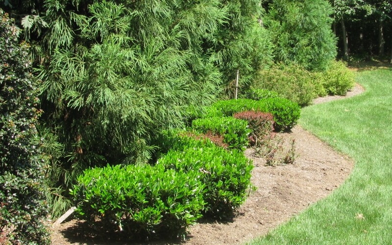 Aeration Services in Evanston, IL